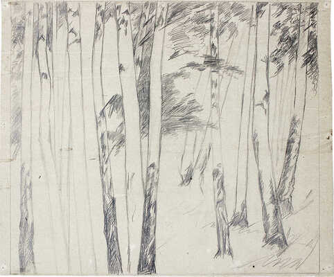 Чеботарёв Константин Константинович. Березы 